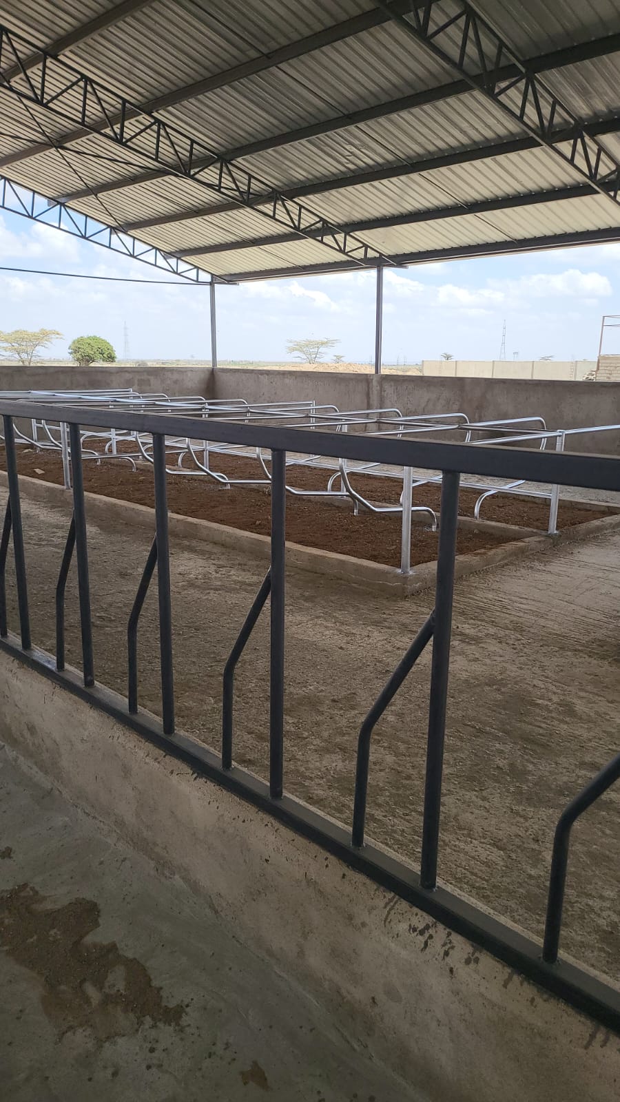 Cowshed facility