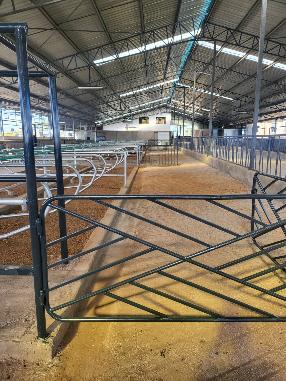 Livestock facility construction detail