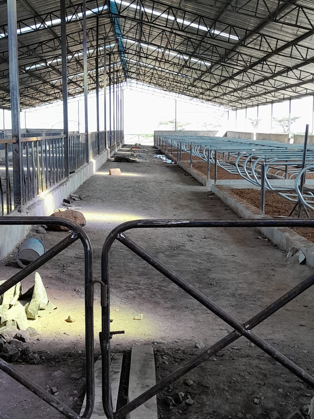 Livestock housing and internal cow barn infrastructure