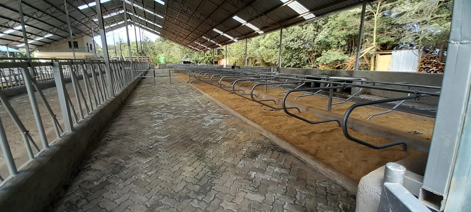 Livestock facility interior and supporting dairy infrastructure