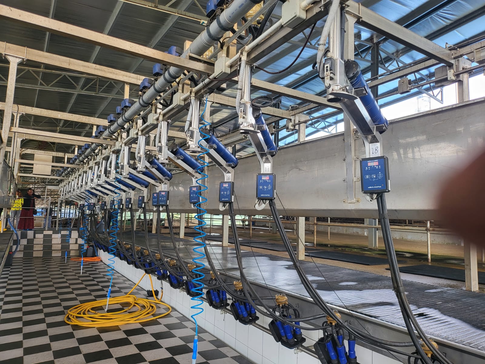 Integrated dairy milking parlour