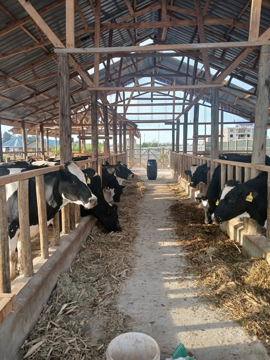 Agricultural construction facility